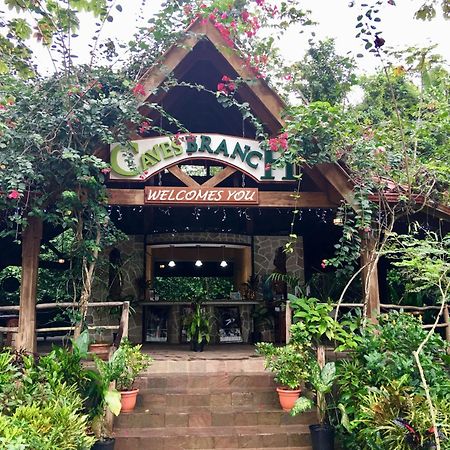 Ian Anderson Caves Branch Jungle Lodge Belmopán Exterior foto