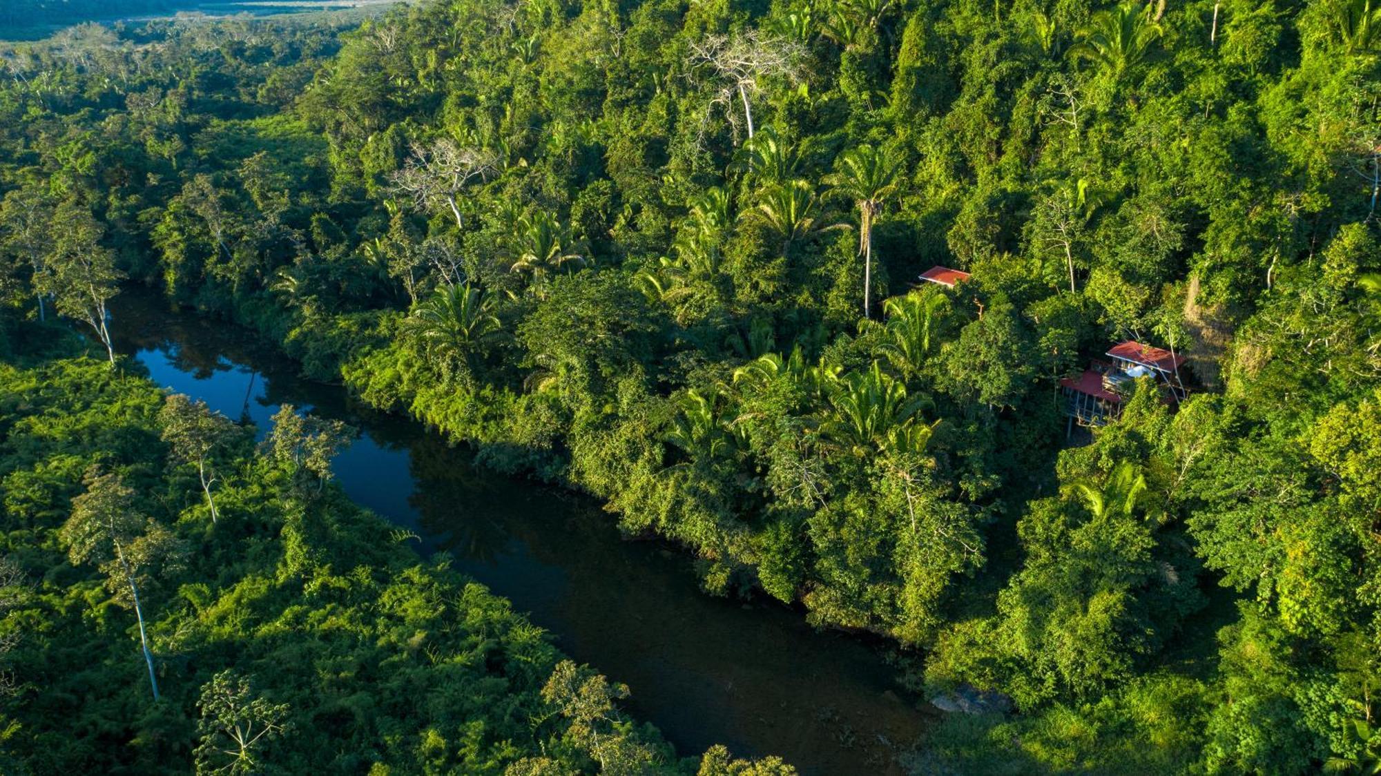 Ian Anderson Caves Branch Jungle Lodge Belmopán Exterior foto