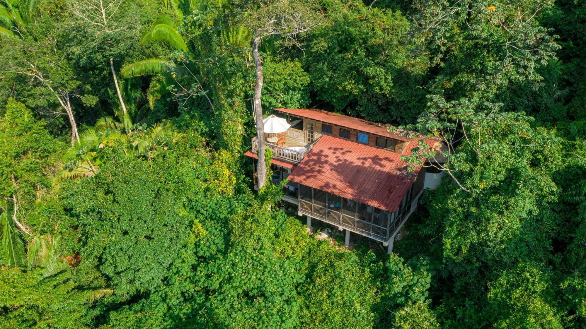 Ian Anderson Caves Branch Jungle Lodge Belmopán Exterior foto