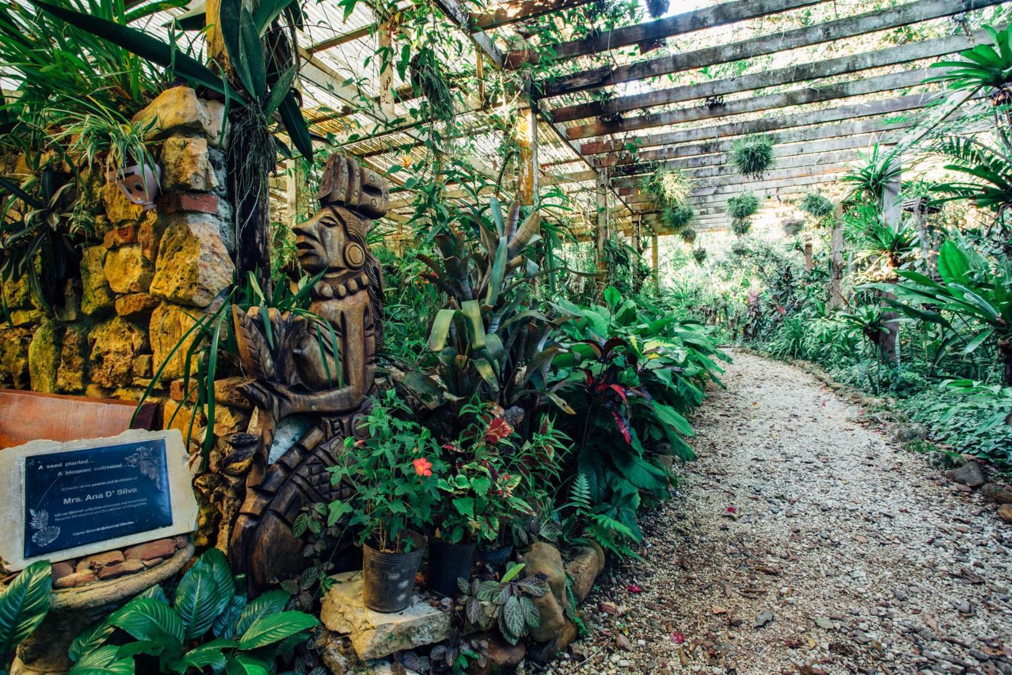 Ian Anderson Caves Branch Jungle Lodge Belmopán Exterior foto